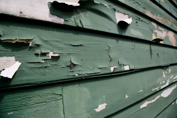 Boyceville, WI Junk Removal Company